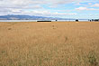 Lake Wairarapa photo