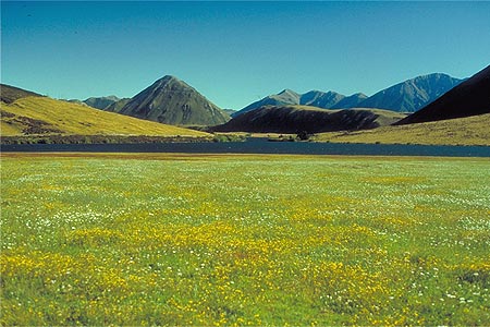 Arthurs Pass photo