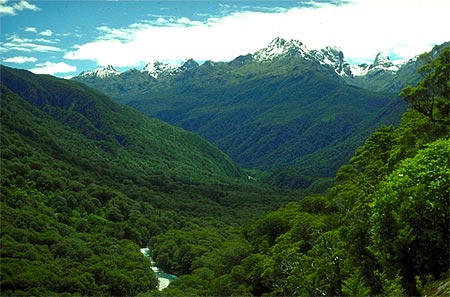 Hollyford Valley photo