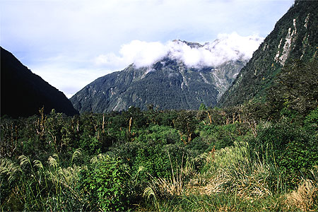 Clinton Valley photo