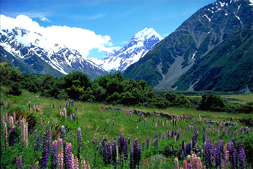 Mt Cook National Park photo