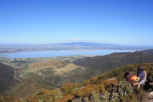 Rimutaka View photo