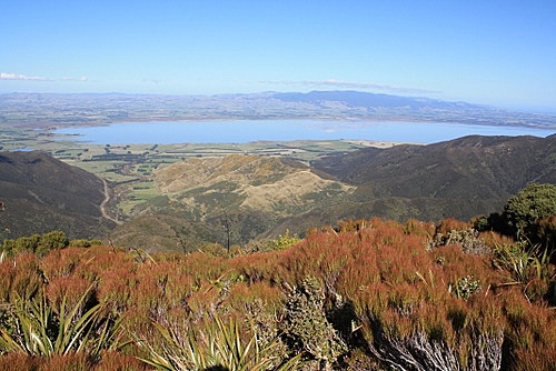 Rimutaka View photo