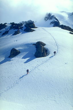 Southern Alps photo