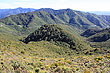 Tararua Range photo