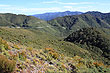 Tararua Range photo