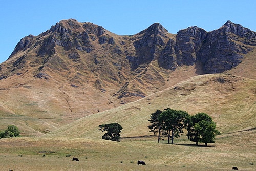 Te Mata Peak photo