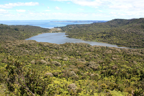 The Lower Nihotupu Reservoir photo