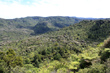 Waitakere Hills photo