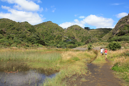 Karekare Walk photo