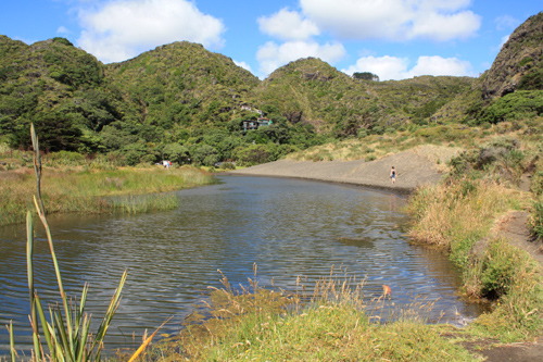 Waitakere Ranges Karekare Beach photo