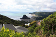 Piha photo