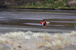 Bethells Surf photo