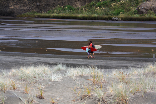 Surfers at Bethells photo