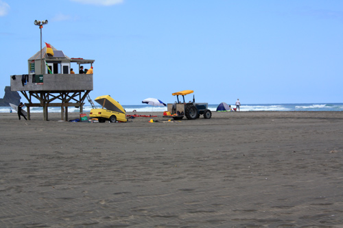 Bethells Lifeguard Waitakere Ranges photo