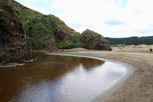 Waitakere River at Bethells photo