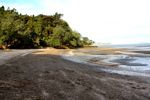 French Bay Titirangi photo