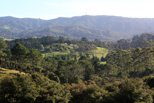 Laingholm Waitakere Ranges photo