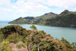 Huia Waitakere Ranges photo