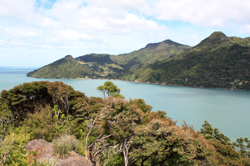 Huia Bay Waitakere Ranges photo