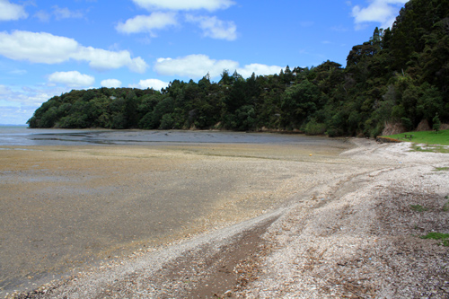 Wood Bay Waitakere Ranges photo