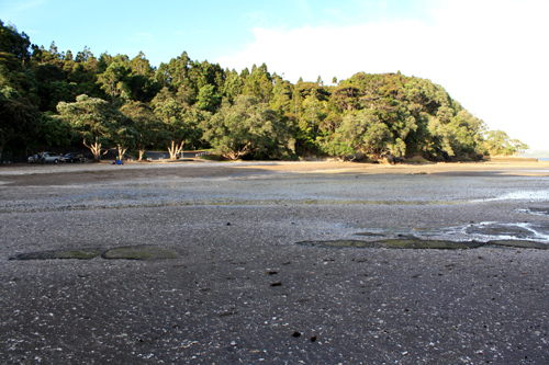 French Bay Waitakeres photo