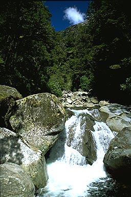 Fiordland Mountain Stream photo