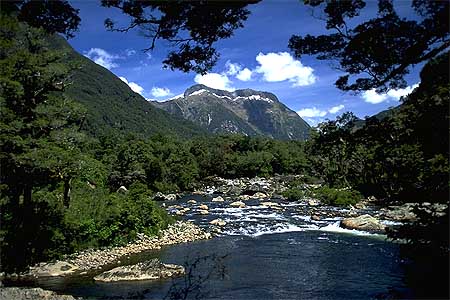 Arthur River photo