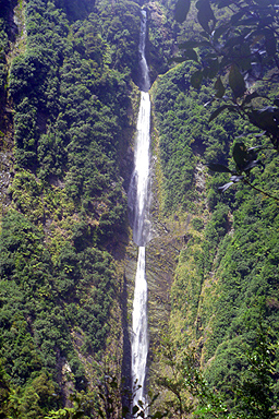 Waterfall in Fiordland photo