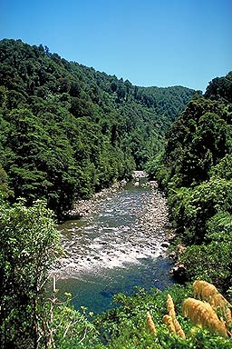 Hutt River Gorge photo