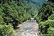 Hutt River Gorge photo