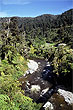 Hutt River Kaitoke photo