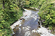 Kaitoke photo