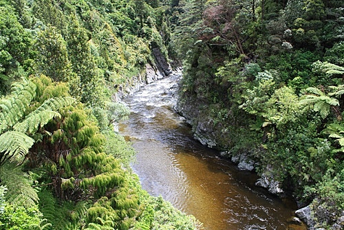 Hutt River Gorge photo