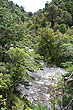 Hutt River Kaitoke photo