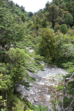 Kaitoke photo