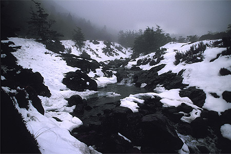 Mangawhero River Ruapehu photo