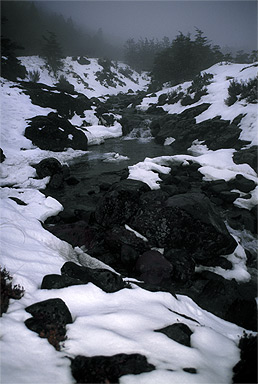 Mangawhero River Ruapehu photo