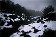 Mangawhero River and Snow photo