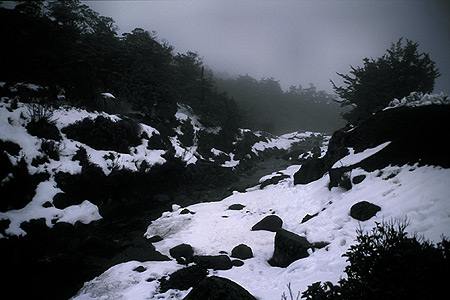 Mangawhero River Ruapehu photo