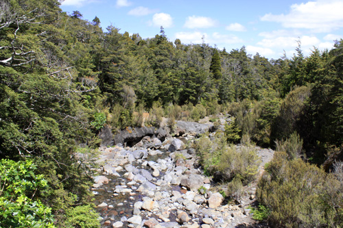 Mangawhero River View photo