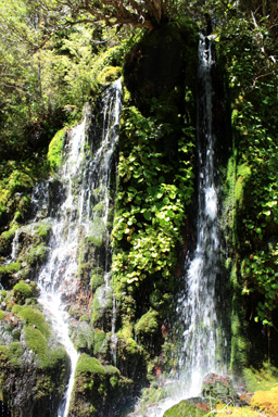 Waitonga Falls Offshoot photo