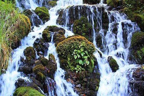 Waitonga Falls Cascade photo