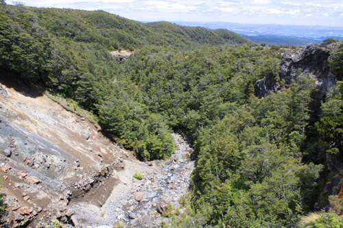 Lower Mangawhero View photo