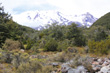 Ruapehu View photo