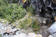 Mangawhero River Ravine photo