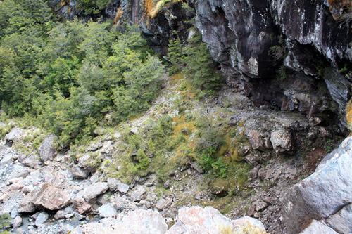 Mangawhero River & Ravine photo