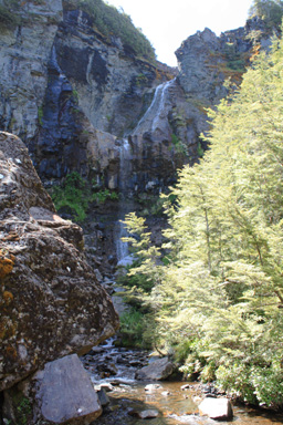 Waitonga Falls Portrait photo