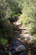 Mangawhero River View photo