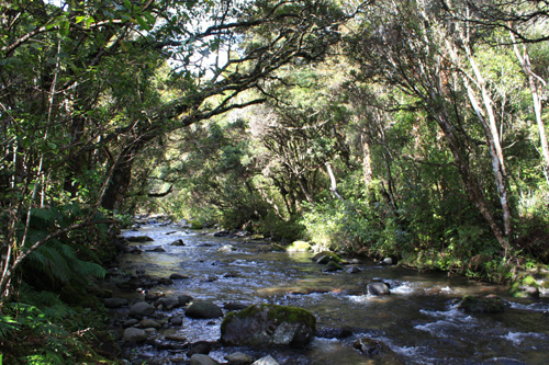 Mangawhero River photos